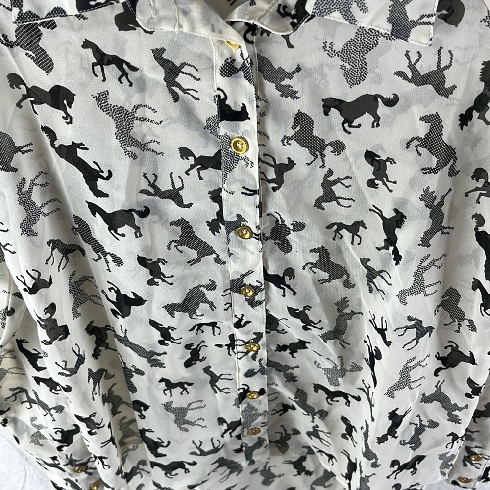 Paper Moon Sheer/Chiffon Blouse Size XS - Picture 3 of 4